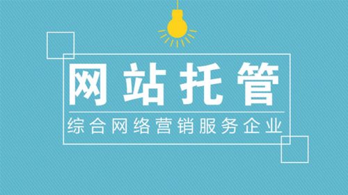 20240621093059445944 网络营销大揭秘
